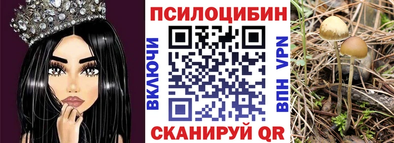 Псилоцибиновые грибы ЛСД  Алейск 