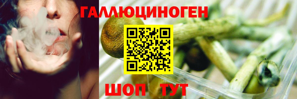 Псилоцибиновые грибы Cubensis  Вход с VPN  Псилоцибиновые грибы мицелий  Алейск 