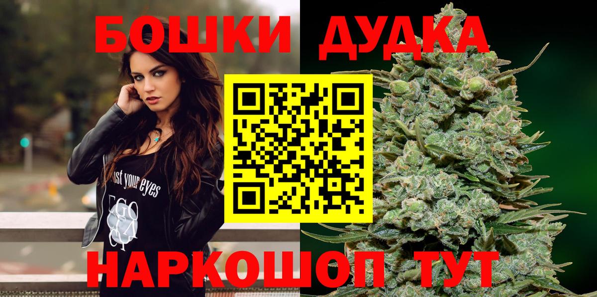 Каннабис план  Конопля OG Kush  Алейск  Марихуана планчик  Канабис Bruce Banner 